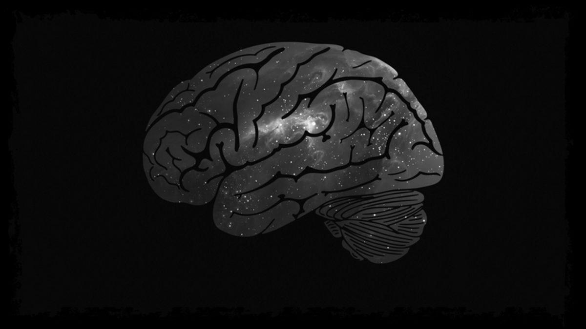 Beynimizin %10’unu Kullandığımız Efsanesi Neden Büyük Bir Yalan?