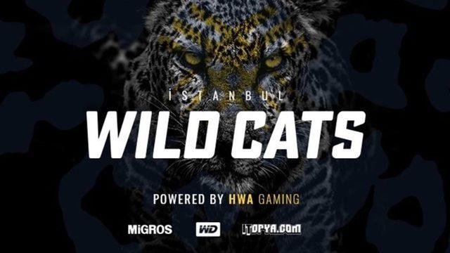 Türkiye’nin İlk E-Spor Takımlarından HWA Gaming’in İsmi Değişti