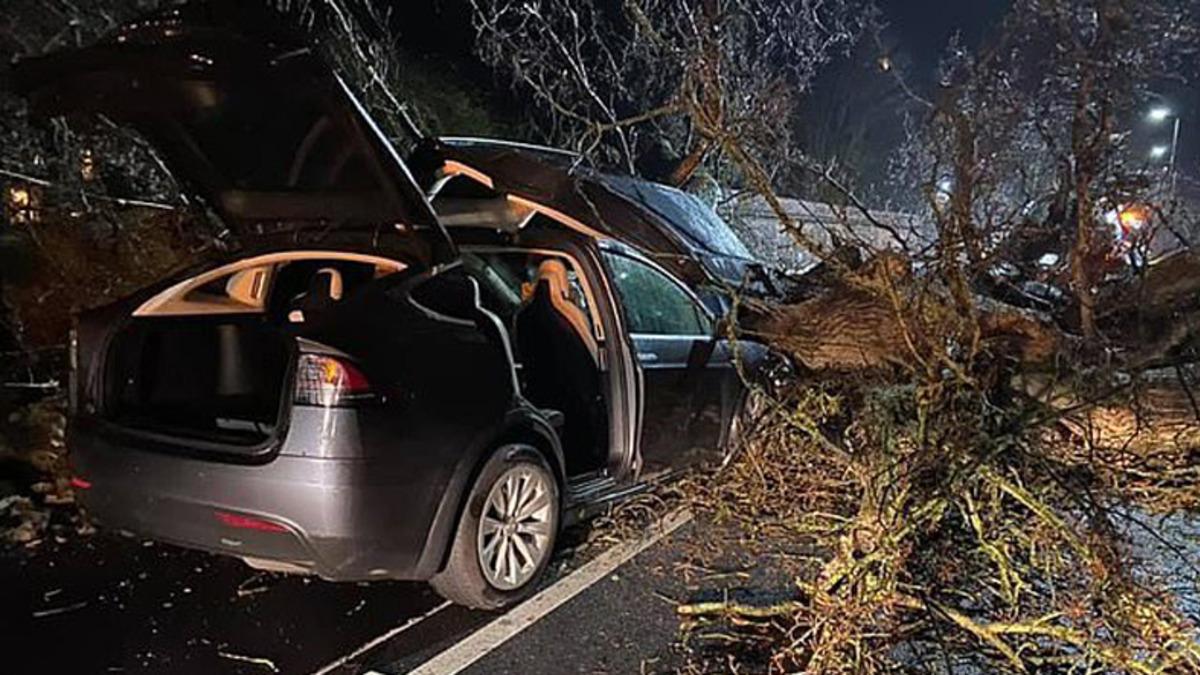 Tesla Model X, Bir Aileyi Fırtınada Devrilen Ağaçtan Son Anda Kurtardı