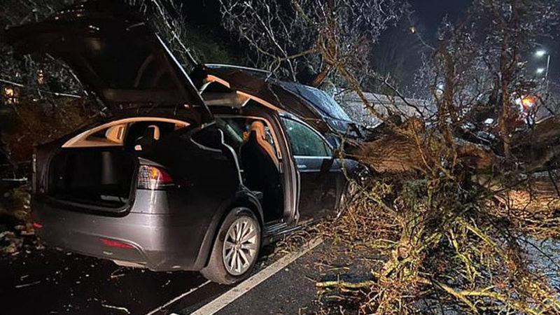 Tesla Model X, Bir Aileyi Fırtınada Devrilen Ağaçtan Son Anda Kurtardı