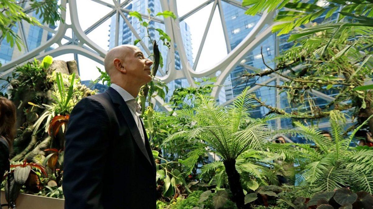Jeff Bezos, İklim Değişikliğiyle Mücadele İçin 10 Milyar Dolar Fon Ayırdı