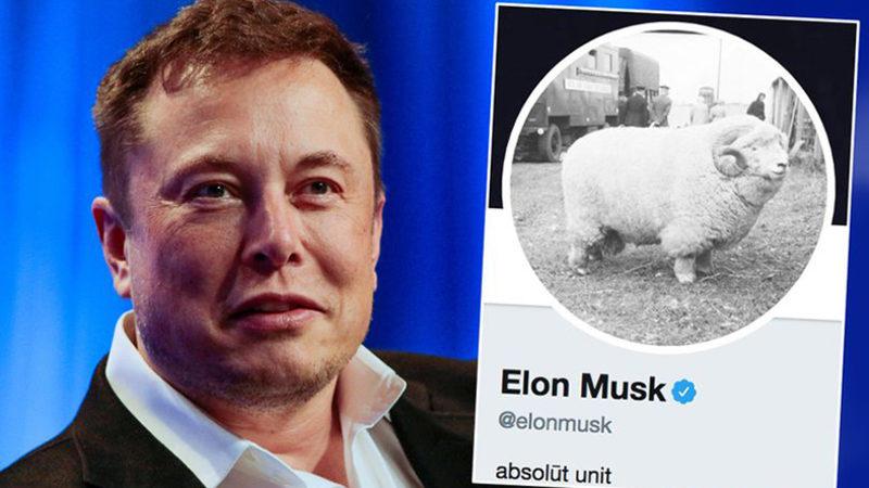 Elon Musk, Twitter’daki Profil Fotoğrafını Koyun Olarak Değiştirdi: İşte Sebebi
