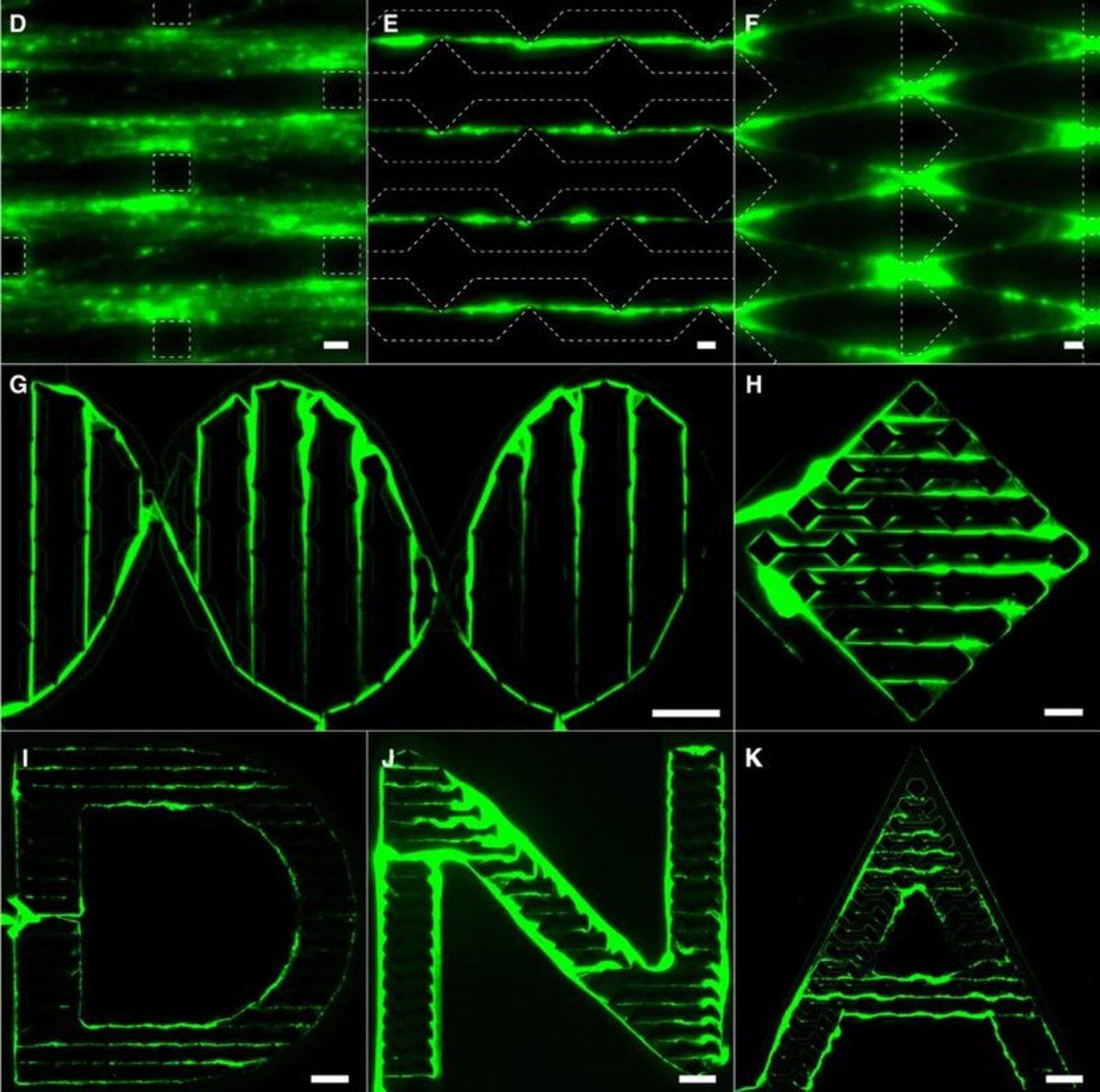 Bilim İnsanları, Kendi Kendini Çoğaltabilen Bir Materyal Üretti