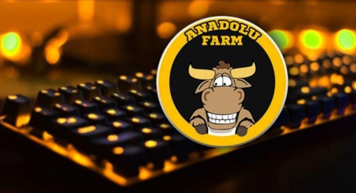 Çiftlik Bank’ın Sanal Kopyası: Anadolu Farm’da 35 Milyon TL Ortadan Kayboldu