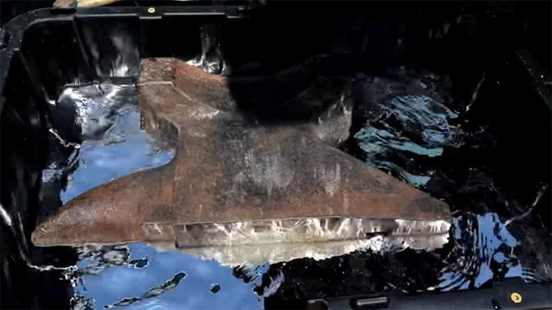 50 Kiloluk Demir Örsün Civada Yüzdüğünü Gösteren Video