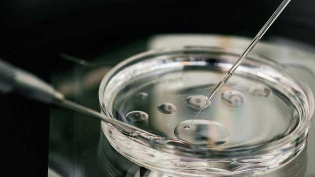 Kanserden Kurtulan Kadın Yeni Bir Teknikle Çocuk Sahibi Oldu