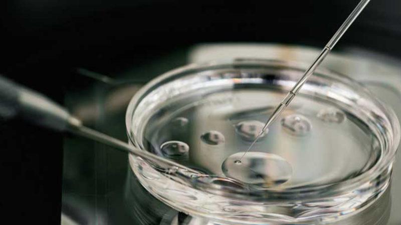 Kanserden Kurtulan Kadın Yeni Bir Teknikle Çocuk Sahibi Oldu