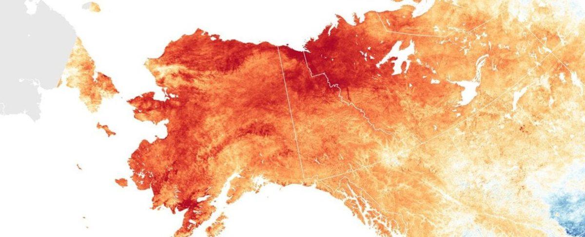 Alaska’da Can Kayıplarına Neden Olan Yüksek Sıcaklıklar Yaşanıyor