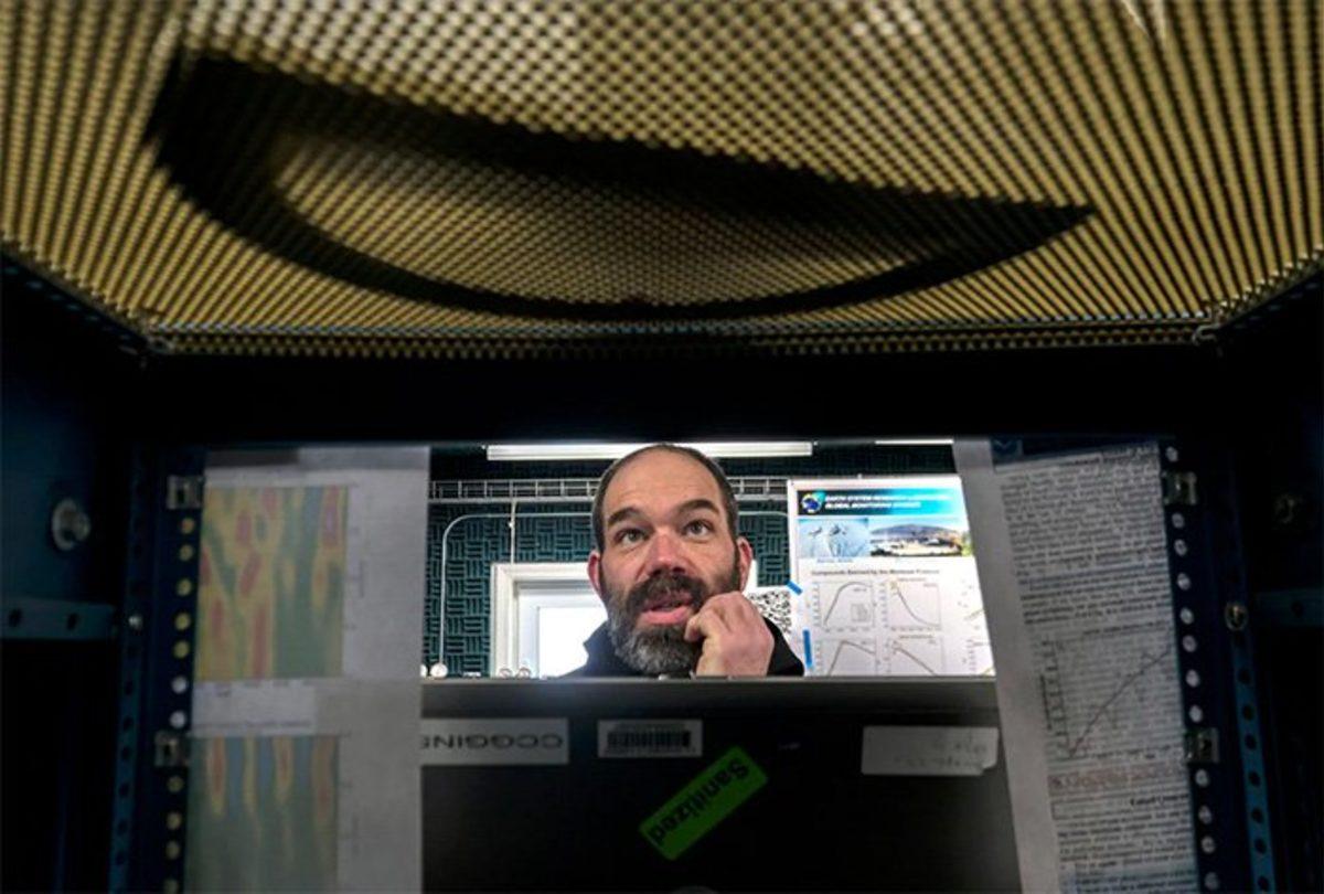 Alaska’da Can Kayıplarına Neden Olan Yüksek Sıcaklıklar Yaşanıyor