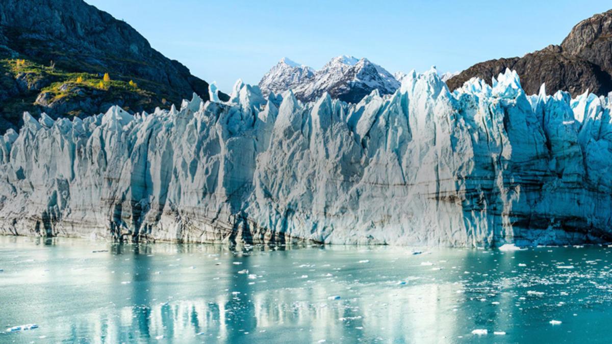 Alaska’da Can Kayıplarına Neden Olan Yüksek Sıcaklıklar Yaşanıyor