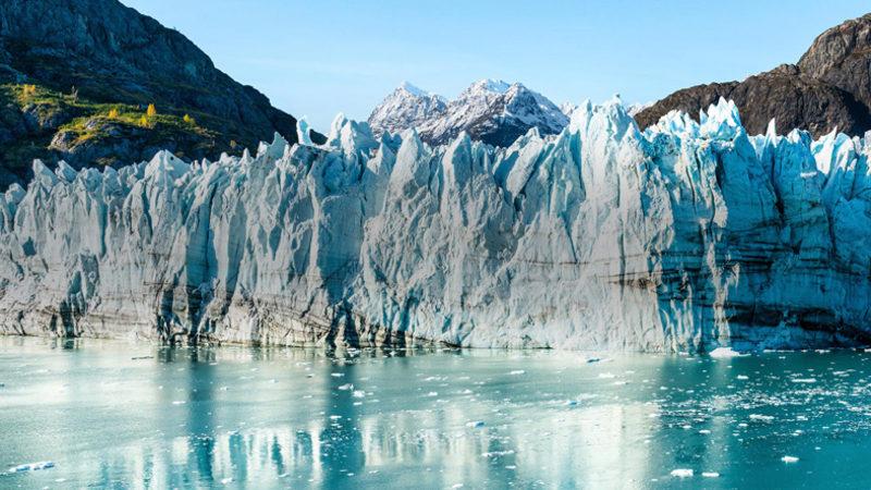 Alaska’da Can Kayıplarına Neden Olan Yüksek Sıcaklıklar Yaşanıyor