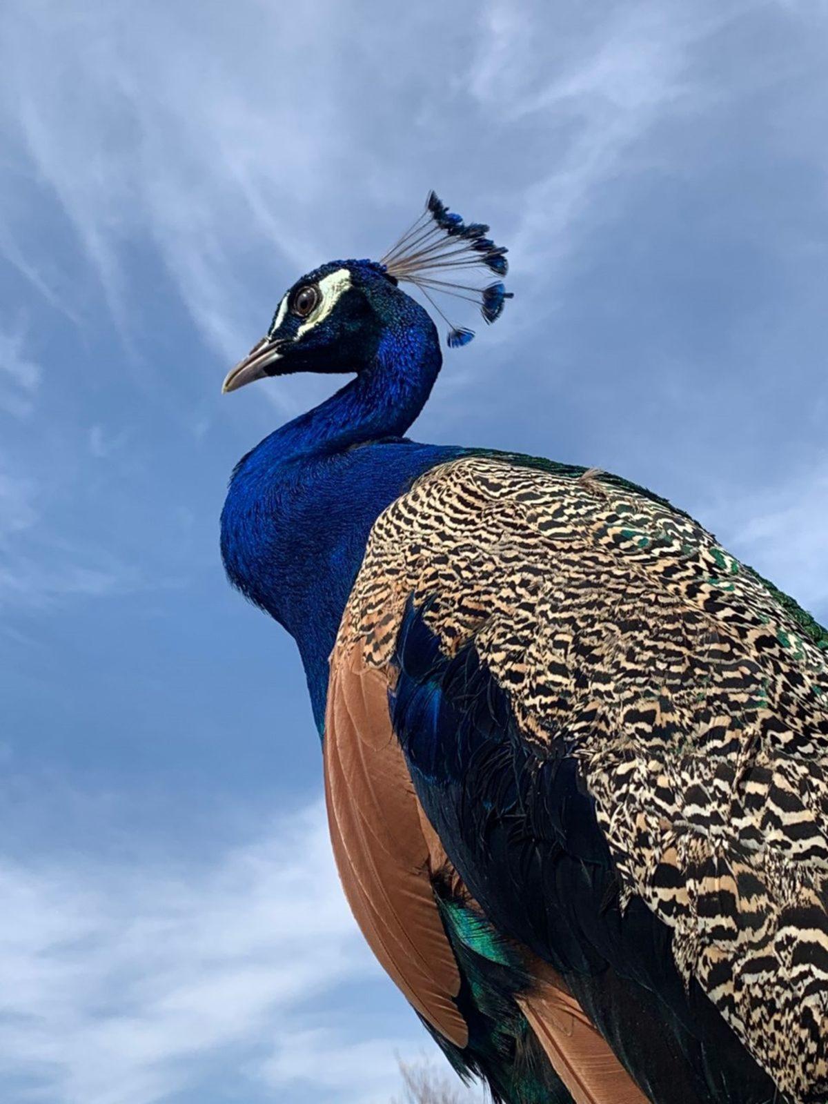 Apple, Türk Çocuklar Tarafından Çekilen Fotoğraflarla 23 Nisan’ı Kutladı