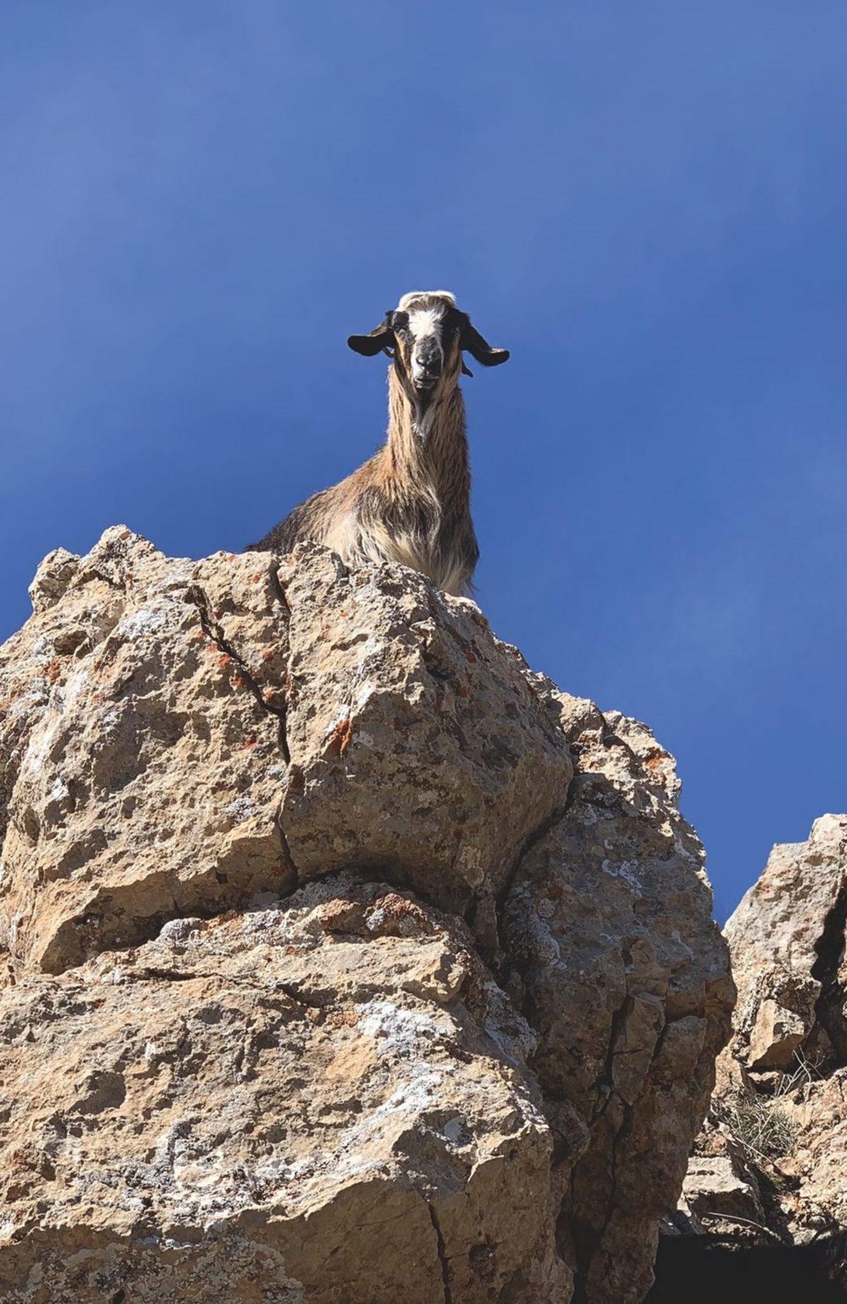 Apple, Türk Çocuklar Tarafından Çekilen Fotoğraflarla 23 Nisan’ı Kutladı