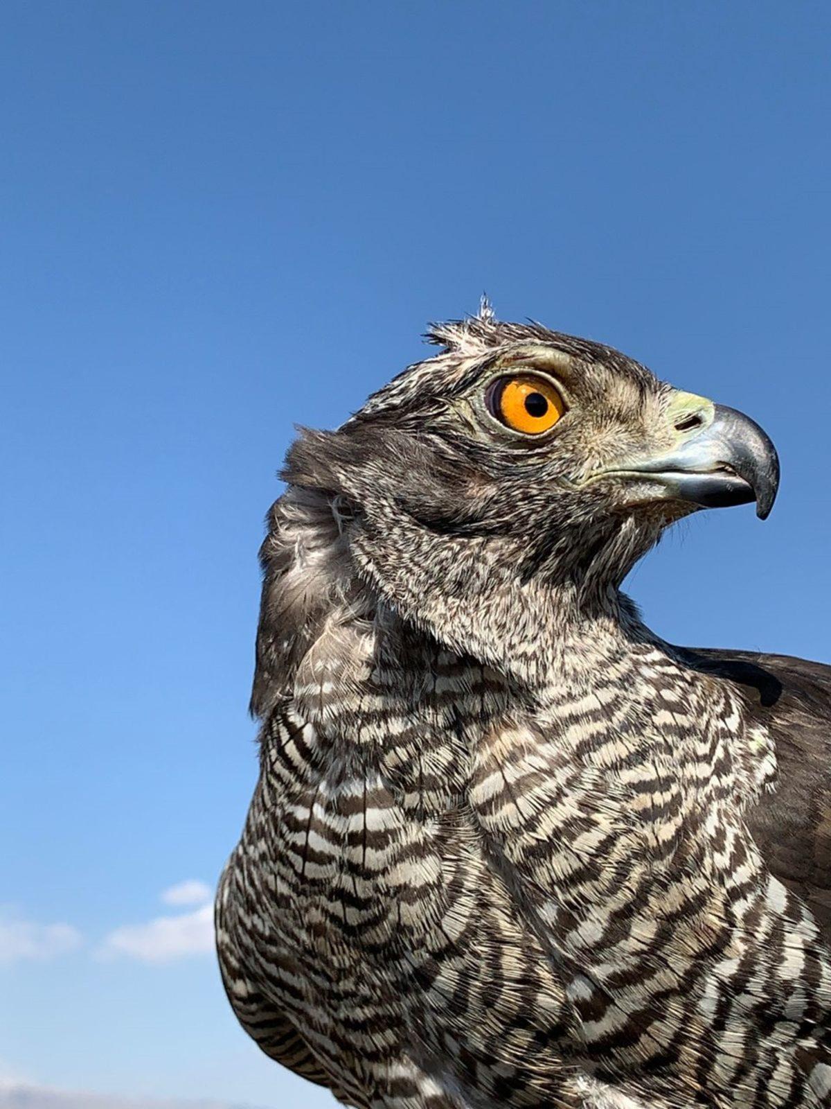 Apple, Türk Çocuklar Tarafından Çekilen Fotoğraflarla 23 Nisan’ı Kutladı
