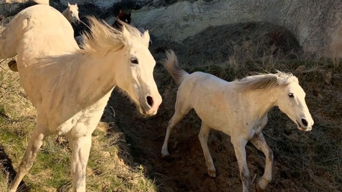 Apple, Türk Çocuklar Tarafından Çekilen Fotoğraflarla 23 Nisan’ı Kutladı