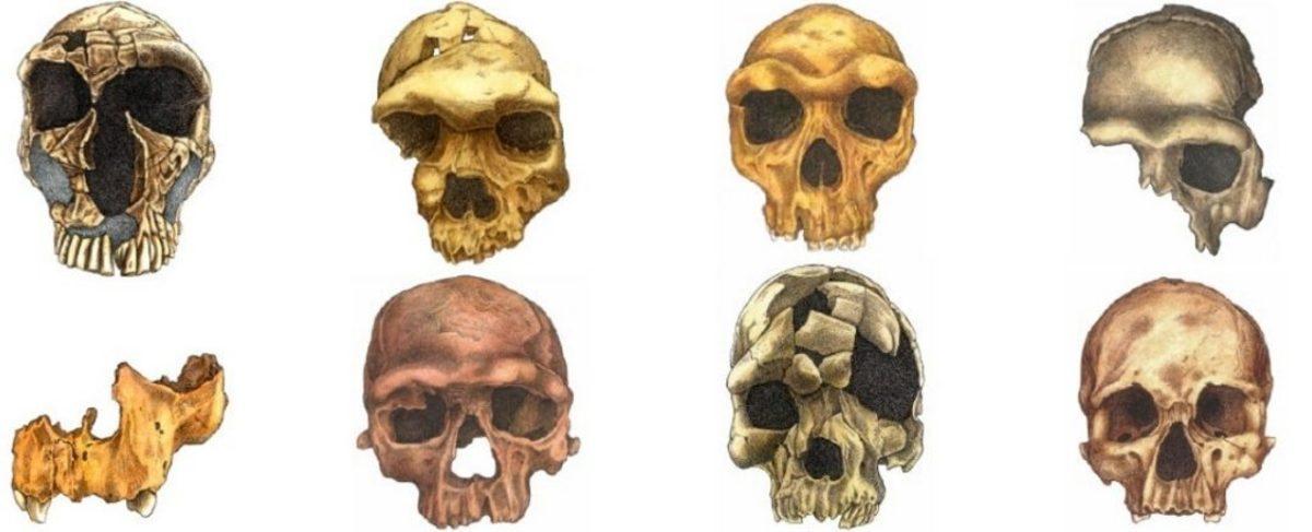 İnsan Yüzünün Tarih İçerisindeki İnanılmaz Değişimi