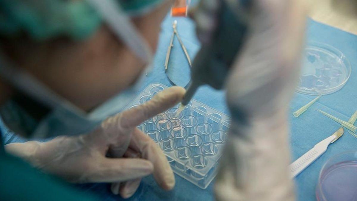 Kanser Tedavisinin Bir Sektör Haline Geldiği İddiası Doğru mu?