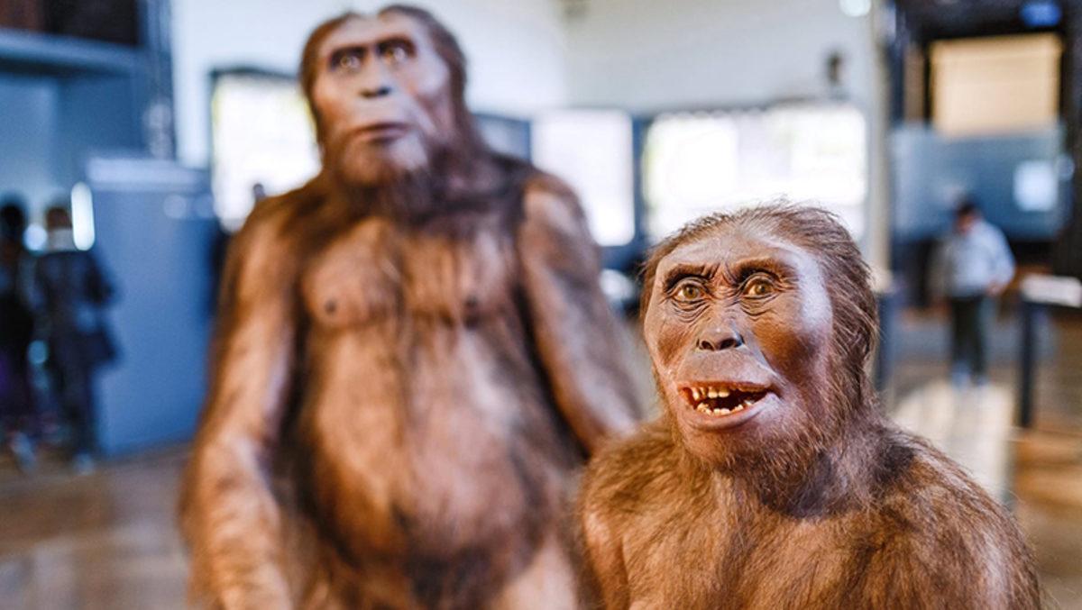 Yeni Bir Çalışma ile Farklı İnsan Türlerinin İlk Kez Ne Zaman Melezlendiği Ortaya Çıktı