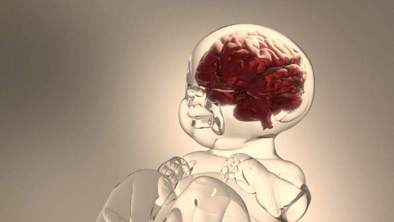 Doktorlar, Bir Bebeğin Beyninde Tamamen Gelişmiş Bir Diş Buldular