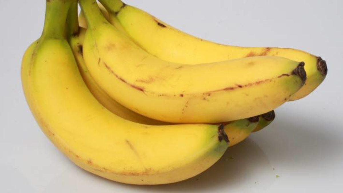 Soyu Tükenme Tehlikesi Yaşayan Muzu Kurtarmak İçin Bilim İnsanlarının Bir Planı Var