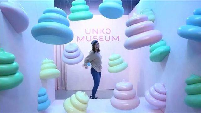 Japonya’da ’Kaka’ Temalı Bir Müze Açıldı