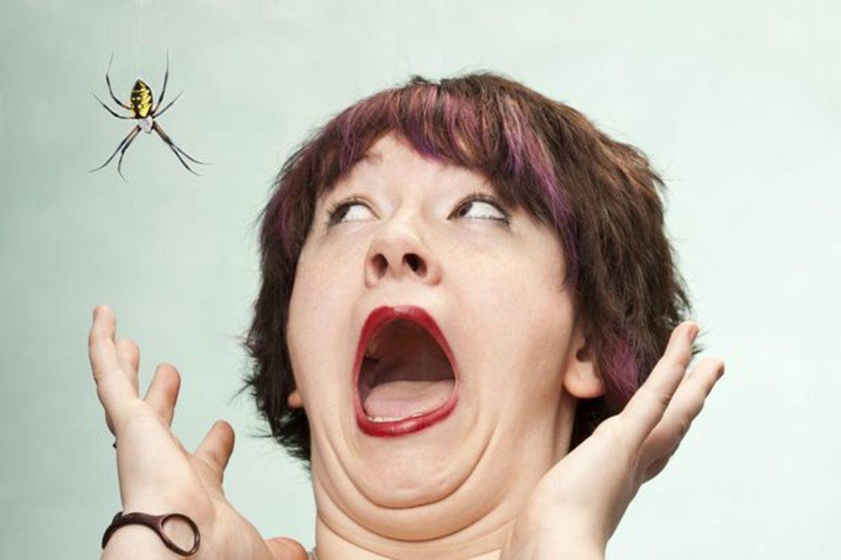 Yalnızca 7 Saniye Örümcek Adam İzleyerek Örümcek Fobisini Azaltmak Mümkün