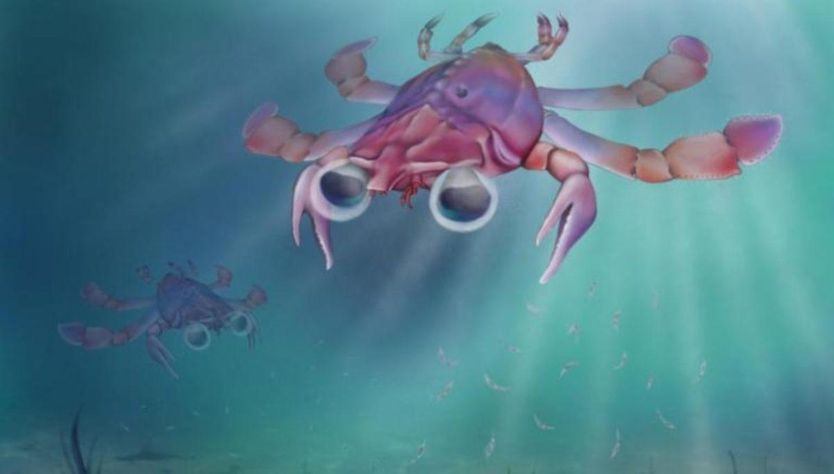 90 Milyon Yıl Önce Yaşayan Yengeçler İşte Böyle Görünüyordu