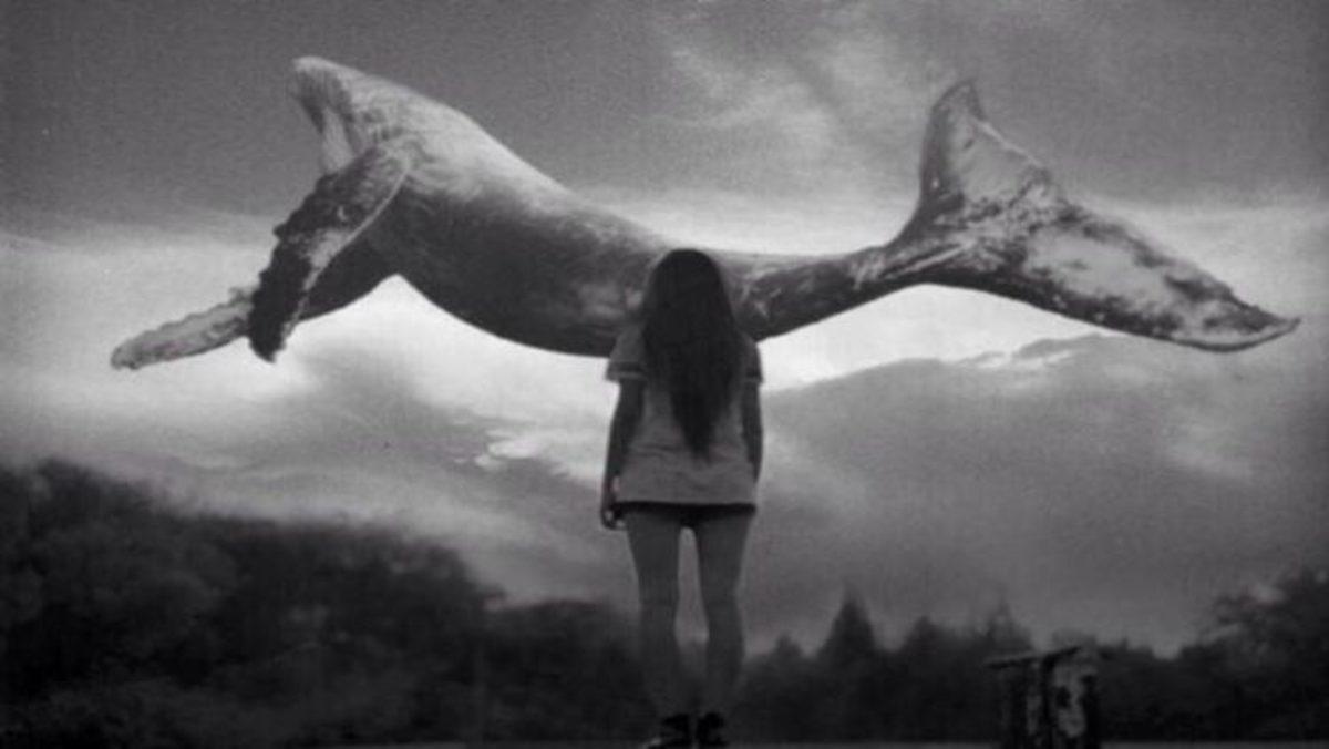 Mavi Balina Oyununda İntihardan Vazgeçen Türk Çocukların İfadeleri