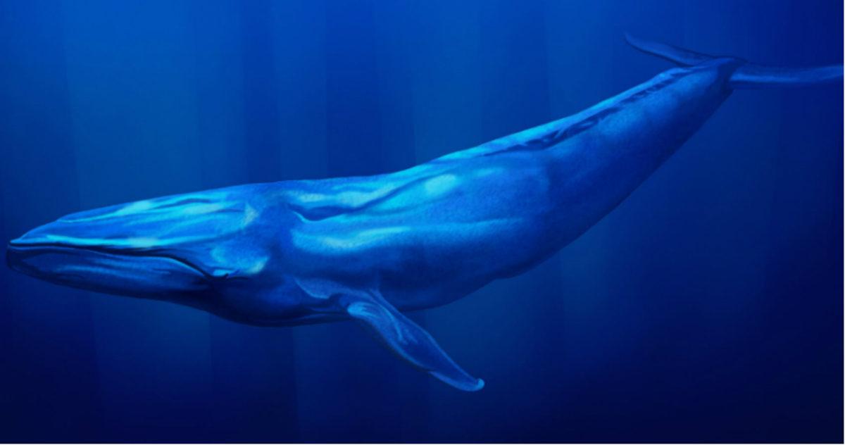 TikTok’ta Viral Olan Ancak Asla Denememeniz Gereken Birbirinden Tehlikeli 12 Challenge