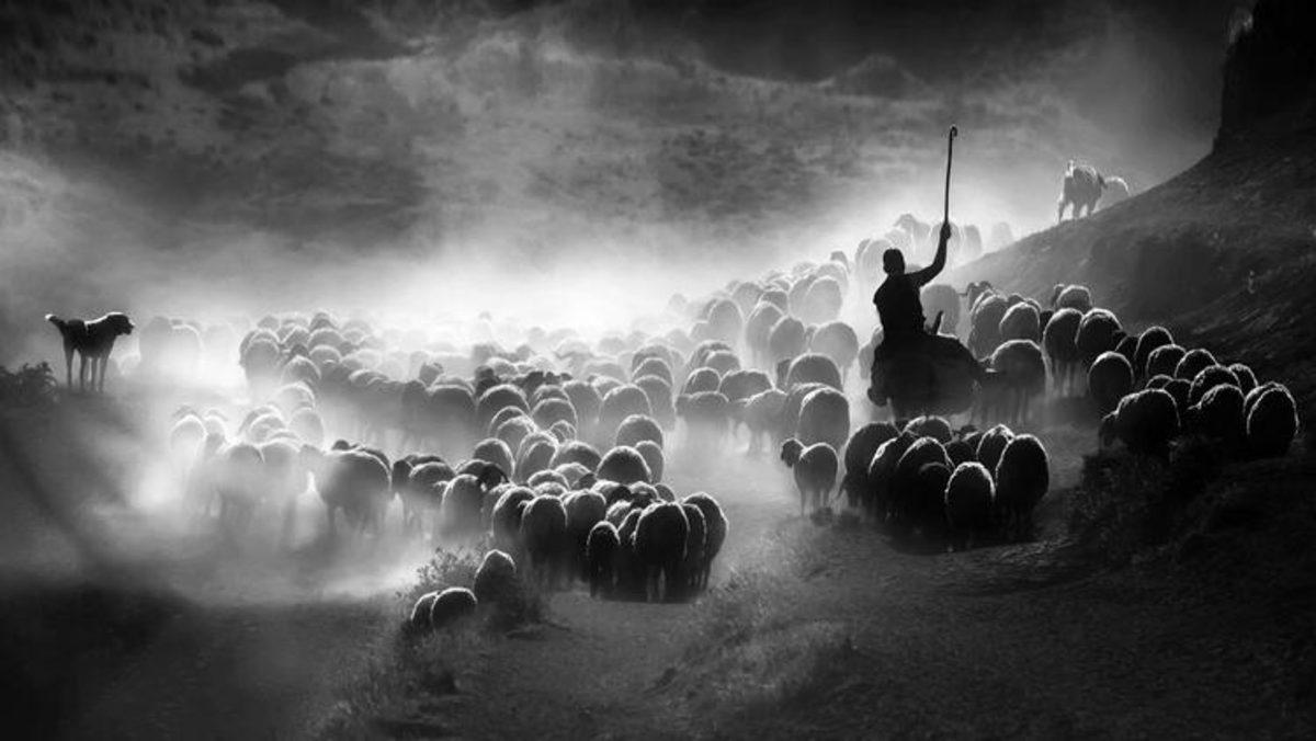 Sony, Türkiye’de Yılın Fotoğrafını Açıkladı