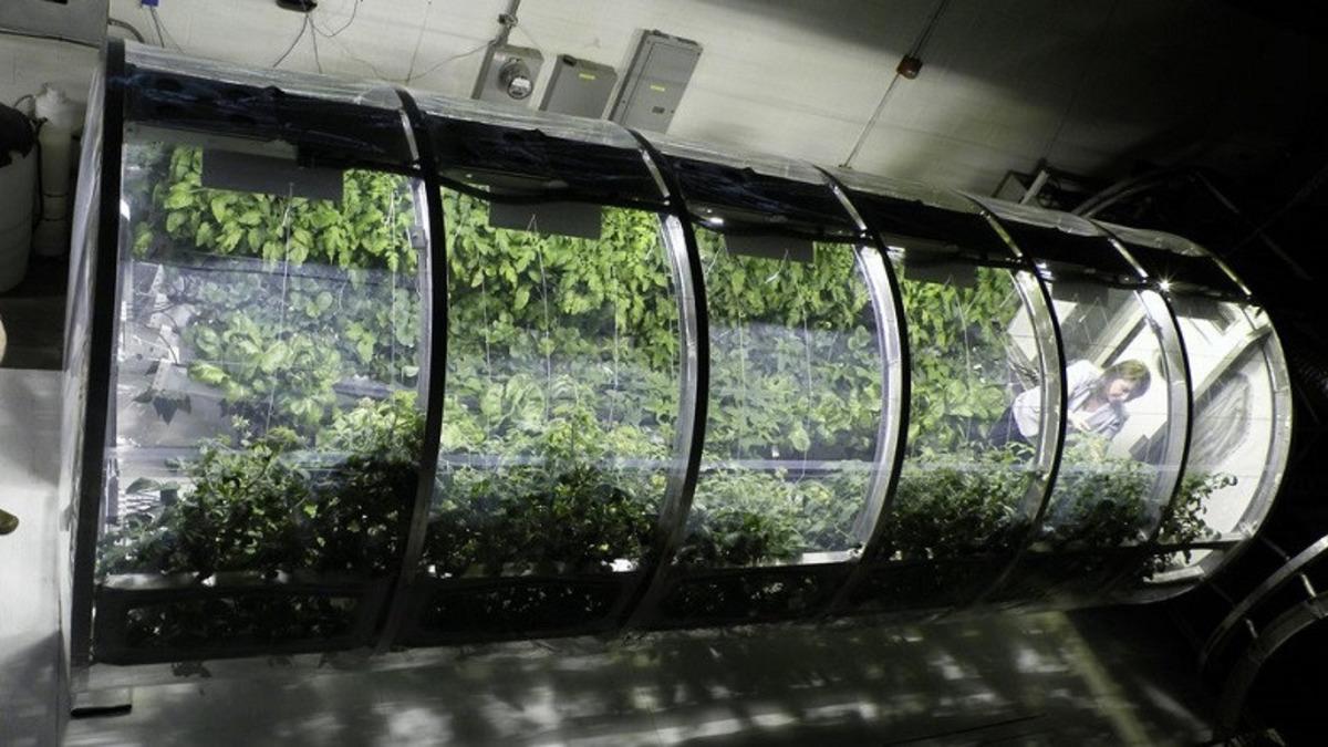 NASA’nın Yenilikçi Fikir Ödülü, Mars Serası Projesine Gitti