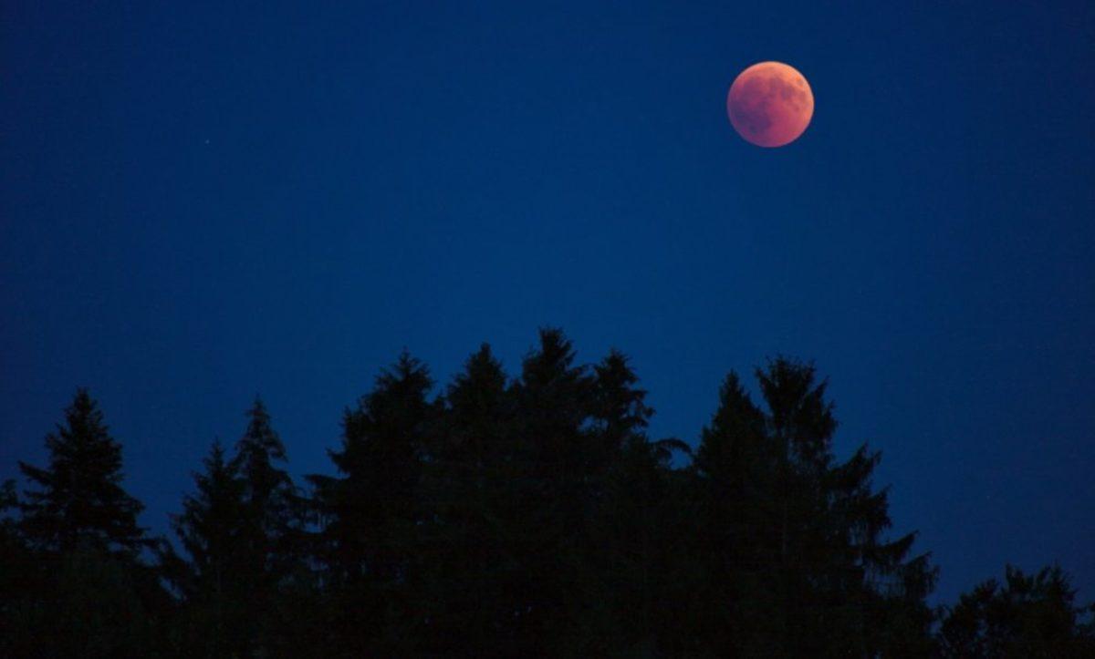 Ay Bir Anda Ortadan Kaybolursa Dünyamızda Neler Değişir?
