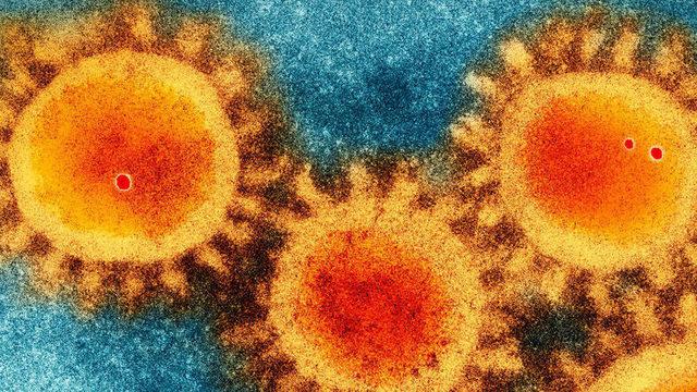 Corona Virüsünün En Çok Kimleri Etkilediği Tespit Edildi