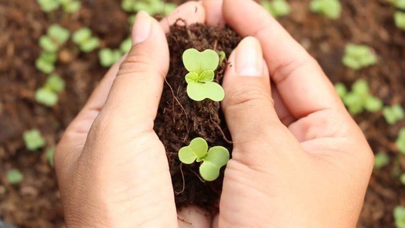 Acı Gerçek: Toprağa Verdiğimiz Hasar, Küresel Isınmayı Hızlandırıyor