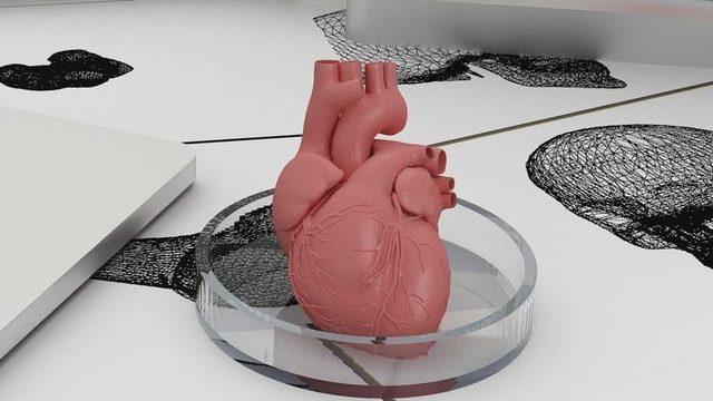 Bilim İnsanları, Uluslararası Uzay İstasyonu’nda 3 Boyutlu Yazıcıyla Kas Dokusu Basacak