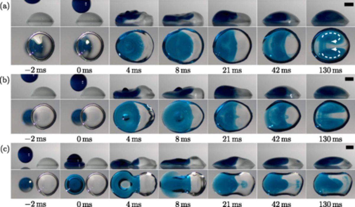 İki Damlacığın Yüksek Hızlı Kamerayla Çekilmiş İlginç Birleşme Anı (Video)