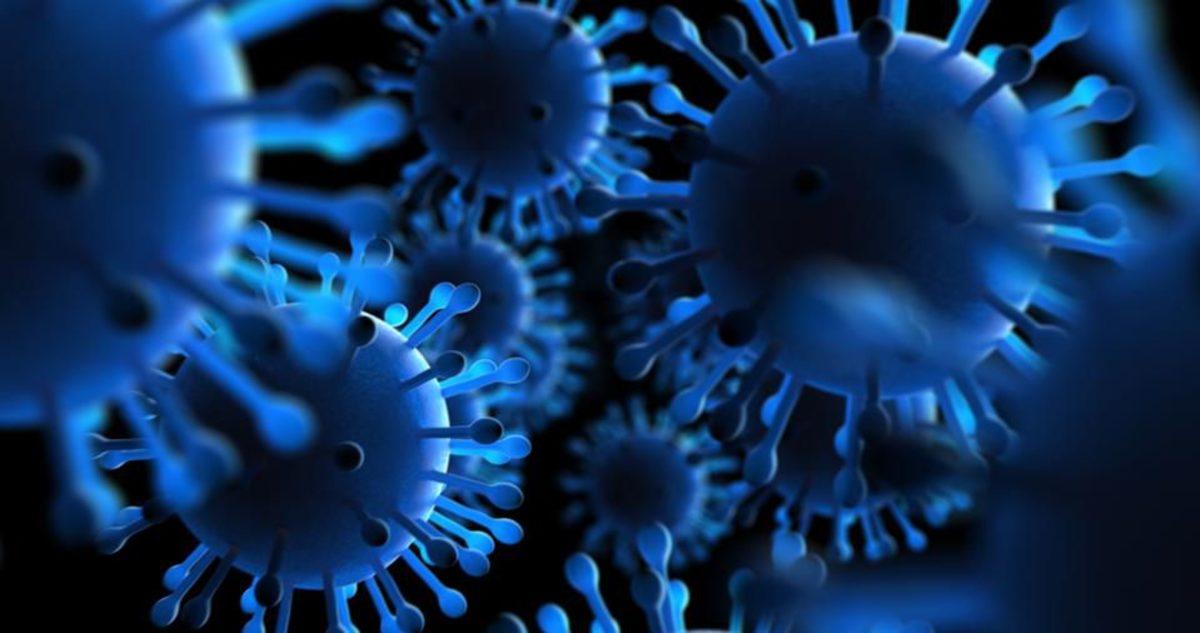 Okyanuslarda 200 Bine Yakın Yeni Virüs Keşfedildi