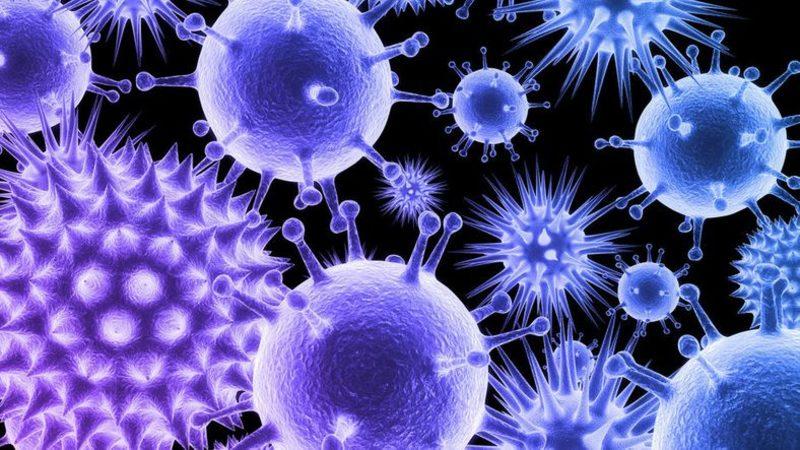 Okyanuslarda 200 Bine Yakın Yeni Virüs Keşfedildi