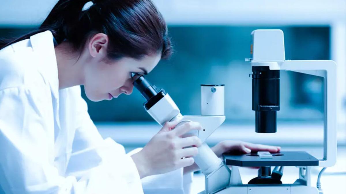 Yapılan Araştırmalar Esrarın Antibiyotik Özelliği Olduğunu Gösterdi