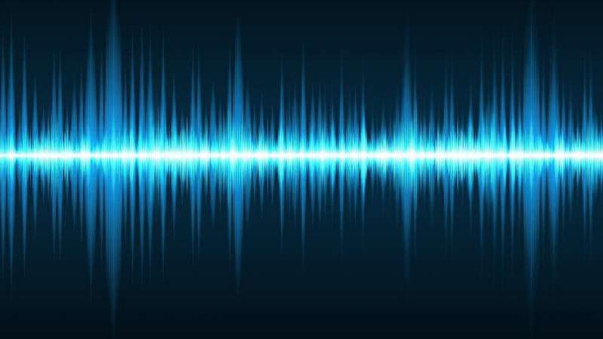 Çok Az Sayıda İnsanın Duyabildiği, Kulağın Kendi Oluşturduğu Ses