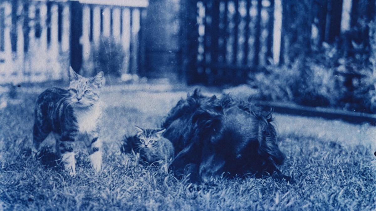 120 Yıllık Negatifler Eski Baskı Tekniği İle Hayata Döndürüldü