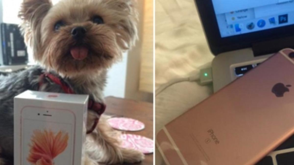 İlk iPhone 6s Sahibinden Gül Rengi Telefon Paylaşımı