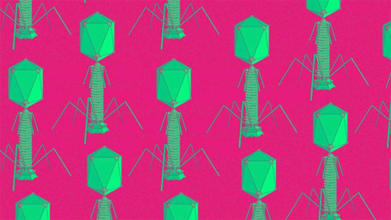 Araştırmacılar, Virüsleri Kullanarak Pil Geliştirdiler