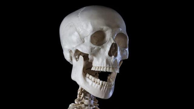 Havalimanlarında Geçişine İzin Verilen 11 İlginç Nesne