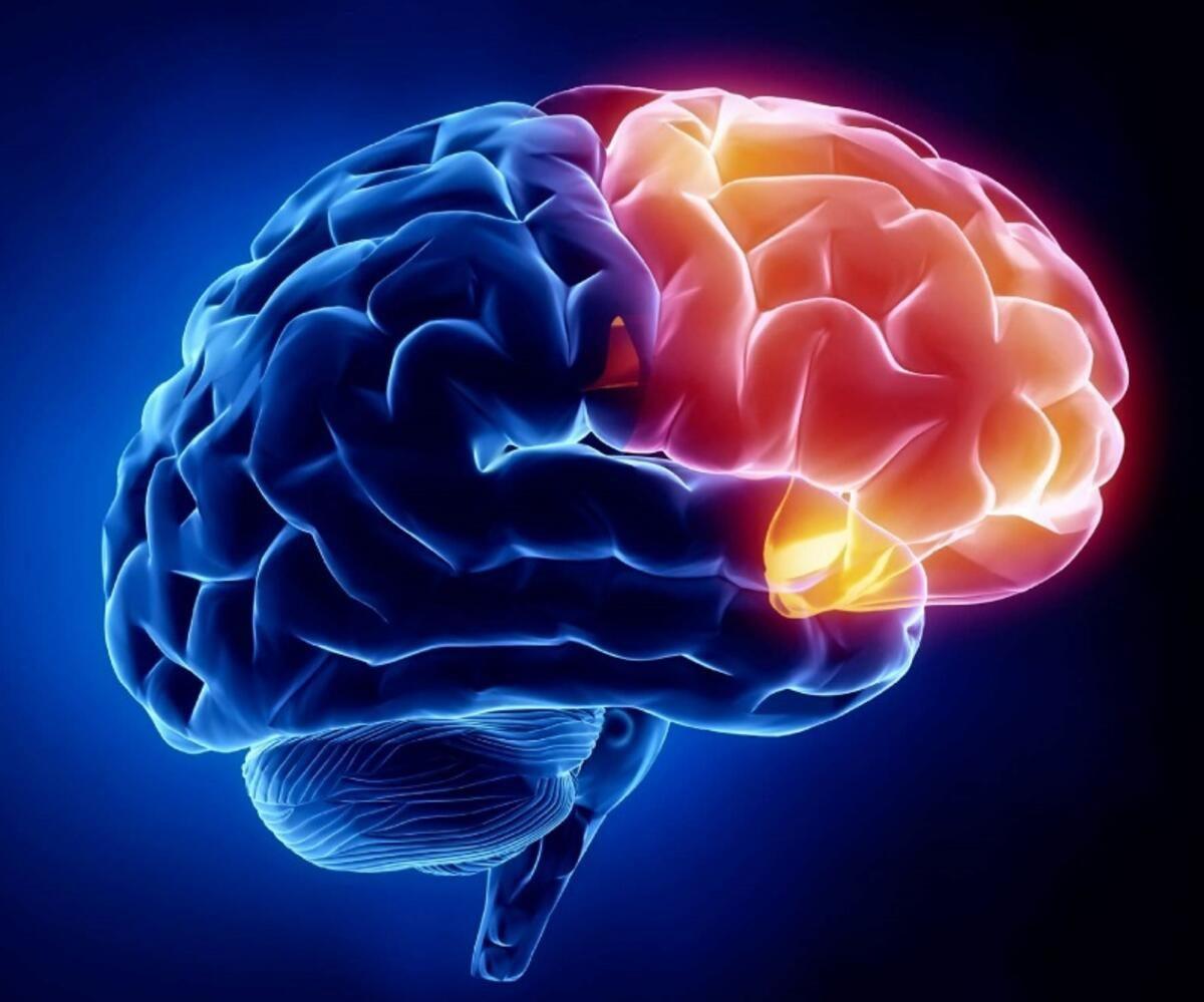 Vejetaryen Beslenmenin İnme Riskini Önemli Ölçüde Azalttığı Ortaya Çıktı