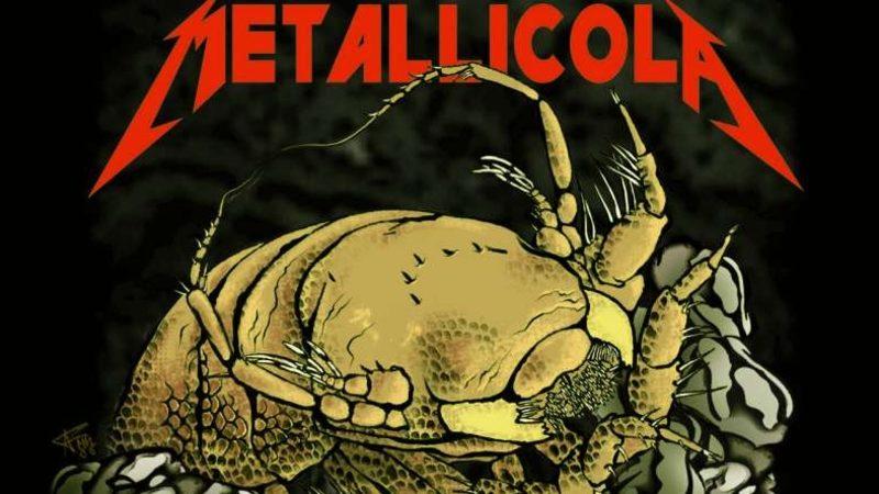 Yeni Keşfedilen Bir Derin Deniz Canlısı, Adını Metallica’dan Aldı