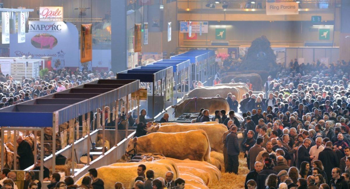 Ünlü Louvre Müzesi, Corona Virüsü Nedeniyle Kapatıldı