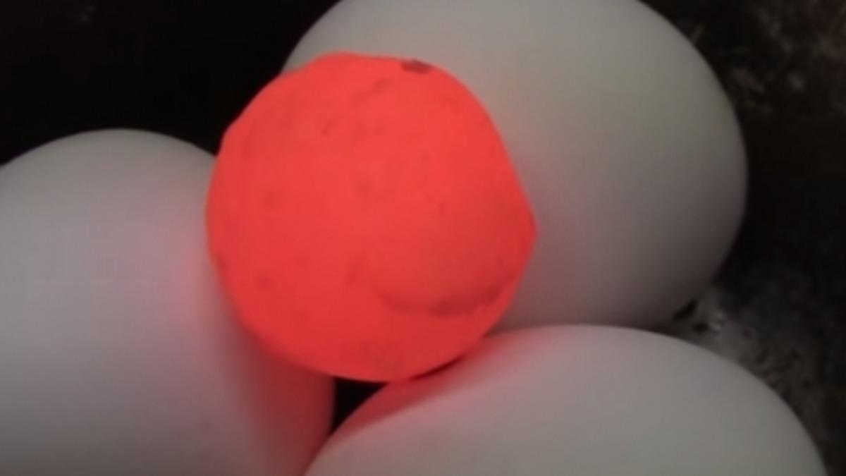 CarsandWater’ın Kızdırılmış Metal Topla Yaptığı Deneyler