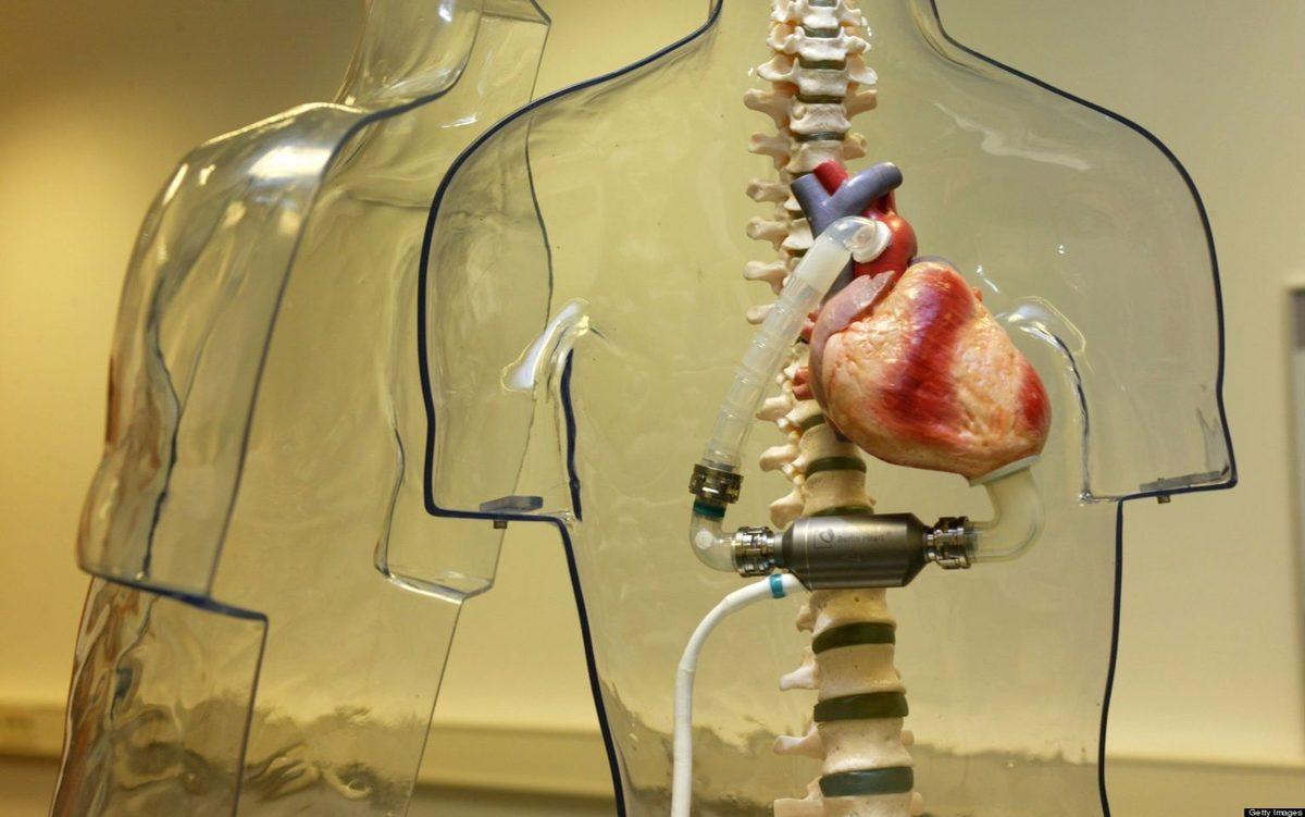 Hayvanlar Üzerindeki İlaç Deneyleri Son Buluyor: Yapay Organlar Geliştirildi