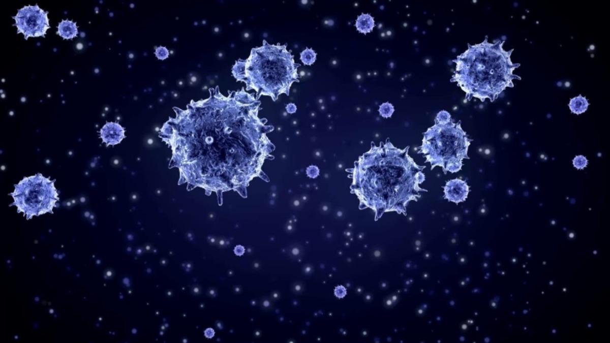 Corona Virüsü Ölümlerinden En Çok Etkilenen 5 Ülkenin Durumunu Gösteren Rapor